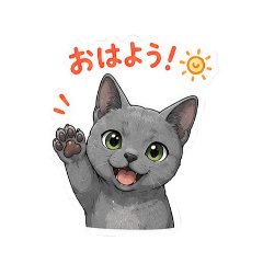 kanoka_20260508085048