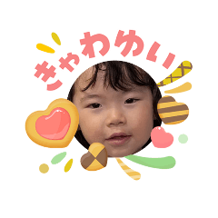 toto_20260508114742