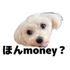 chanmaru_20260508115232
