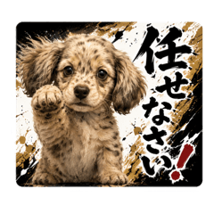 milky_20260508120717