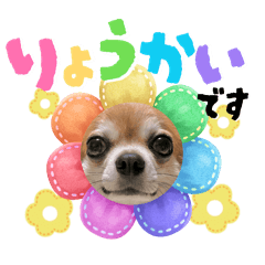 airi_20260508115641