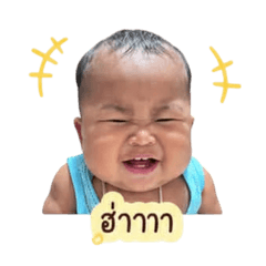 Intel_20260428160219