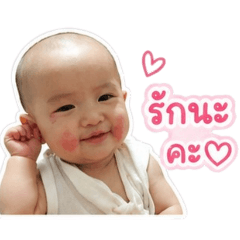 Aomamm_20260428160039
