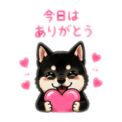 poco GIRL_20260506192535