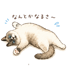Three Kawaii Cats