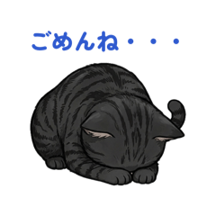 miu_20260506204419