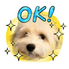 ViVi stamp ppp