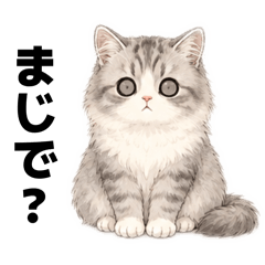 Siberian cat Tatsu