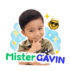 Mister Gavin 1