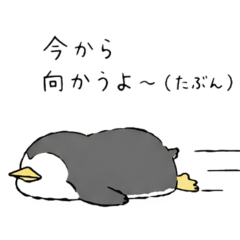 cute chill penguin