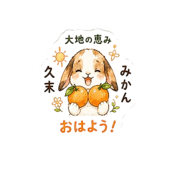 Hisasue Orange Bunny