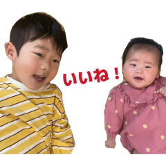 nechi_20260508123857