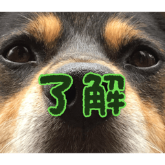 runa_20260508124200