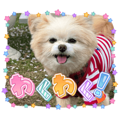 Anko_20260508124122
