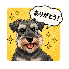 Imeka_20260508124443