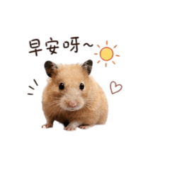 療癒系上班鼠