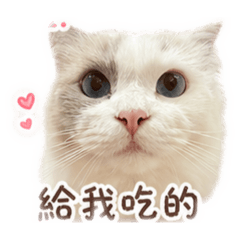 寶寶咪2.0