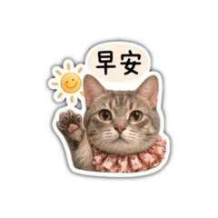 Fu_cat