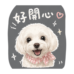貝小豬來囉