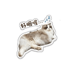 布布111111111