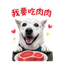 肥肥的尼
