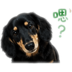 咪❷