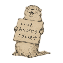 TKY_20260506213129