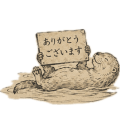 TKY_20260506214000