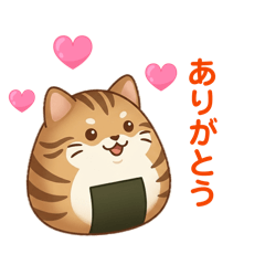 MarucoShinya_20260506214052