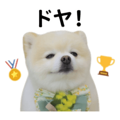 ponsuke_20260506212434