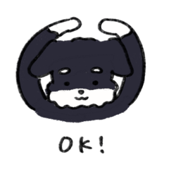 Schnauzer black silver