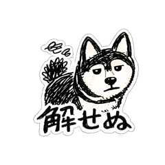 HACHIBEE_20260506222018