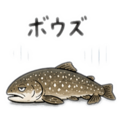 Trout Thoughts