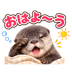 inumummy_20260506214251