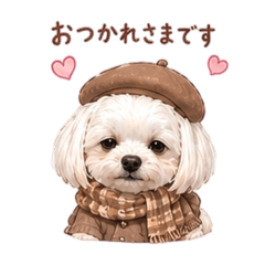 reicha_20260506222200