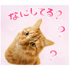 nakky_20260506222418