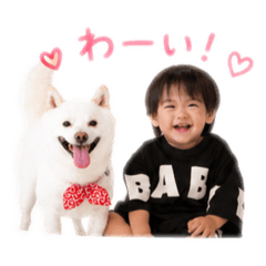 kohaku_hiyu