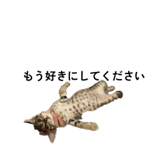 mmn_20260508103410