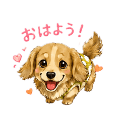 mii_20260508133220