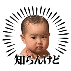 Zawa_20260508103514