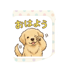 Akira Yamane_20260508134240