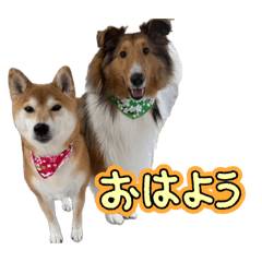 makine_20260508133521