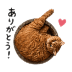 Kei_20260508134209