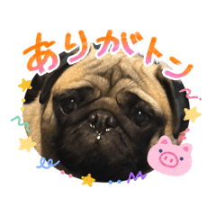 arisa_20260508133533