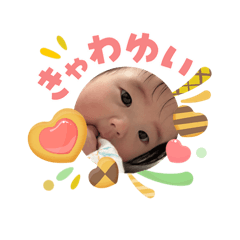 aki_20260508134948