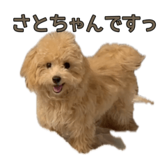 K_20260508135349