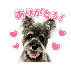 Ryonpipin_20260508162452
