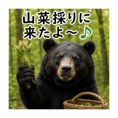 hitomin_20260508164019