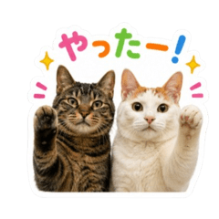 SUIJIN_20260510104358