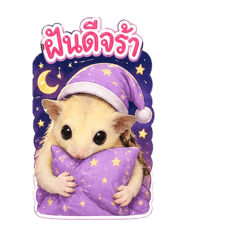 Daony_20260428160401